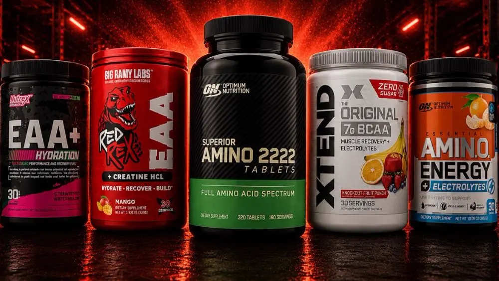 MR Supplements — Premium Sports Nutrition in Sharm El Sheikh